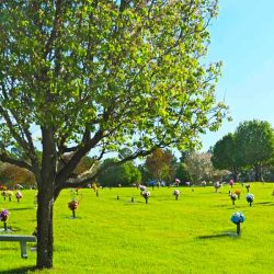 Greenhaven Memorial Gardens Cemetery in South Carolina